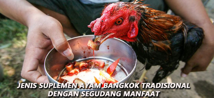 Jenis Suplemen Ayam Bangkok